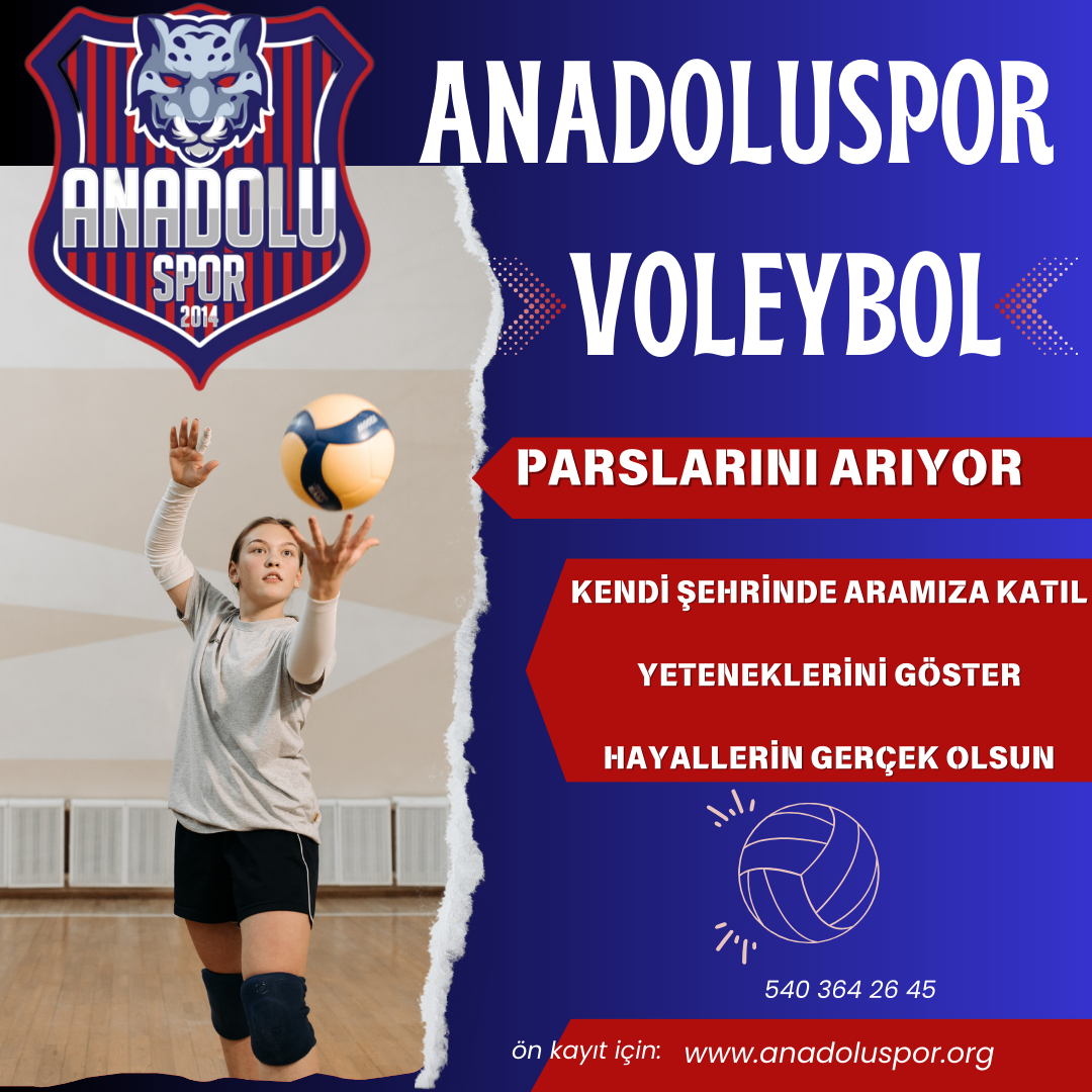 VOLEYBOL