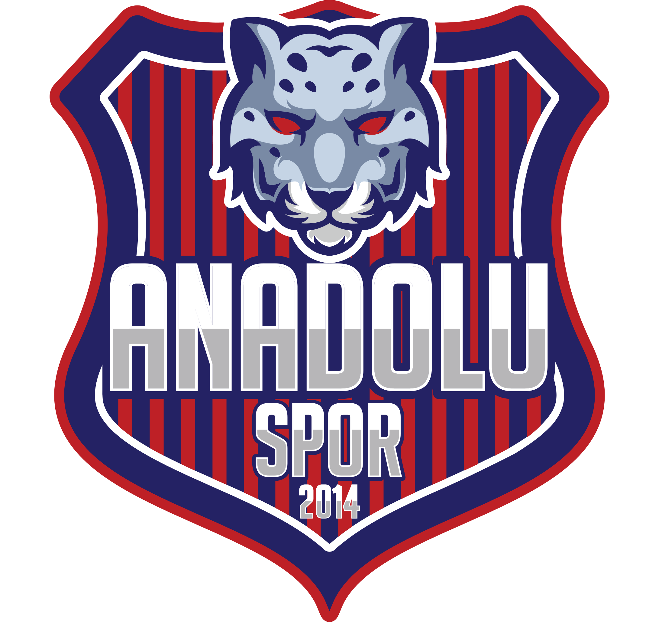 Anadolu Spor